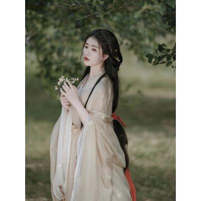 魏晋风汉服女成人2024新款清冷系超仙气飘逸古装晋制襦裙女款古风